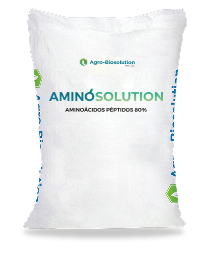 AMINOSOLUTION